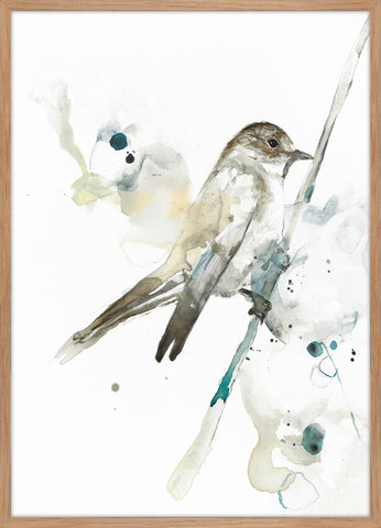 Bird 2 | Framed Poster | 50x70