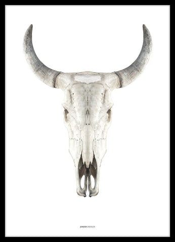 Cow skull   | Framed Poster | 50x70